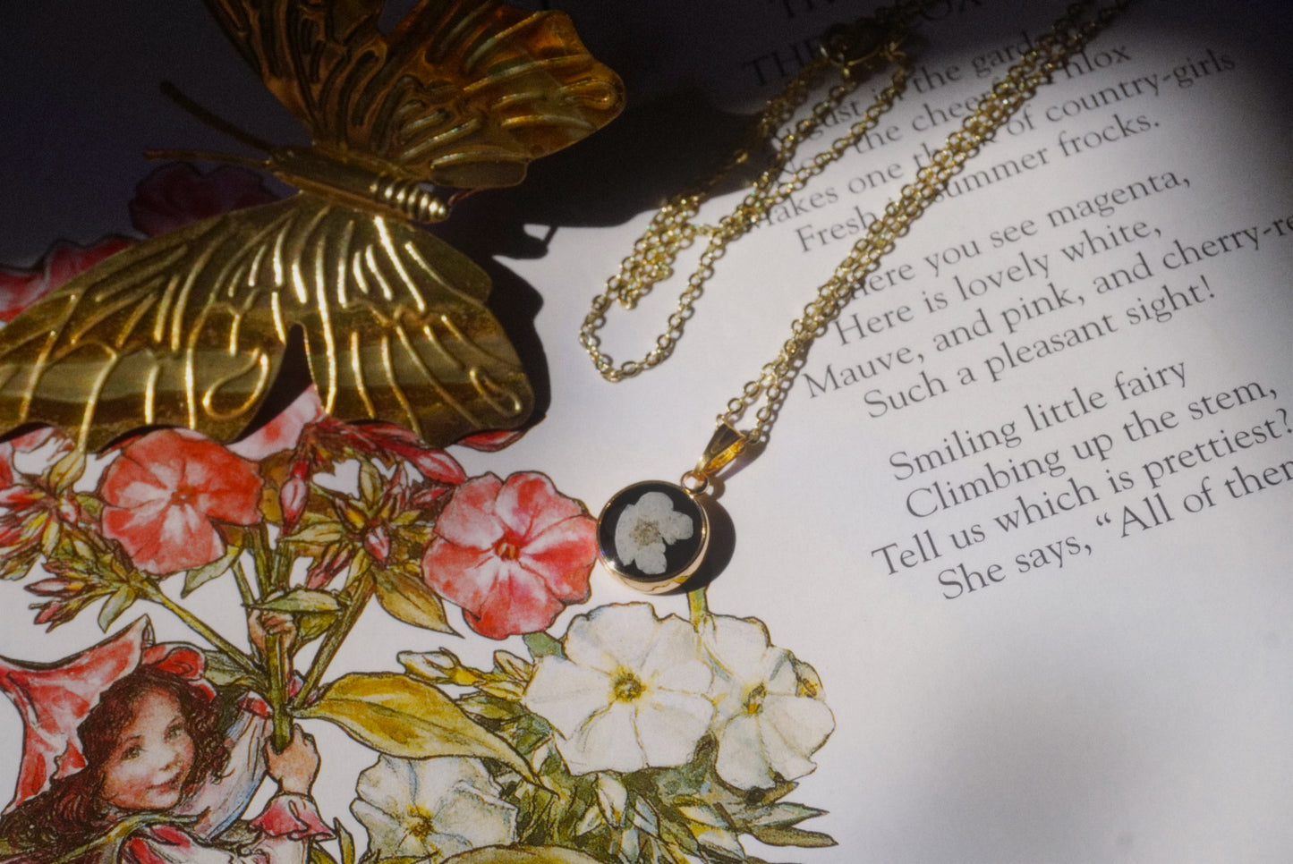 white forget-me-not