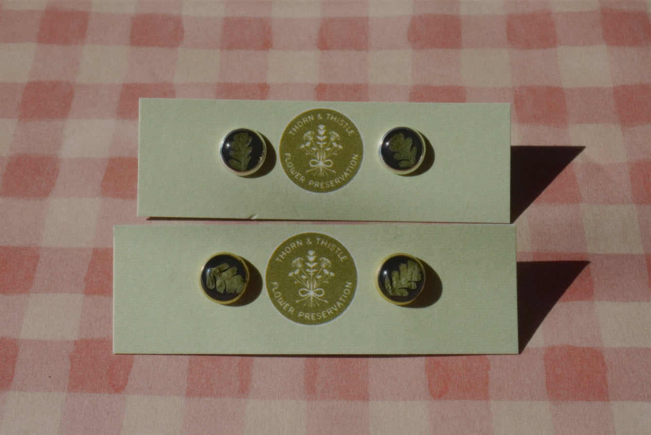 fern studs