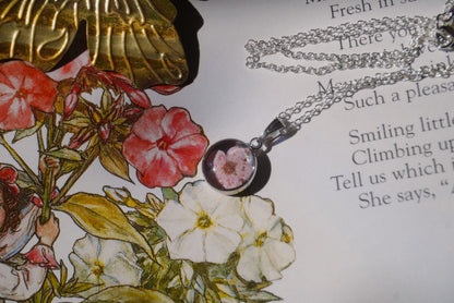 pink forget-me-not