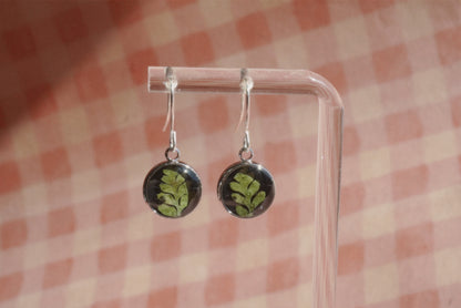 fern dangles