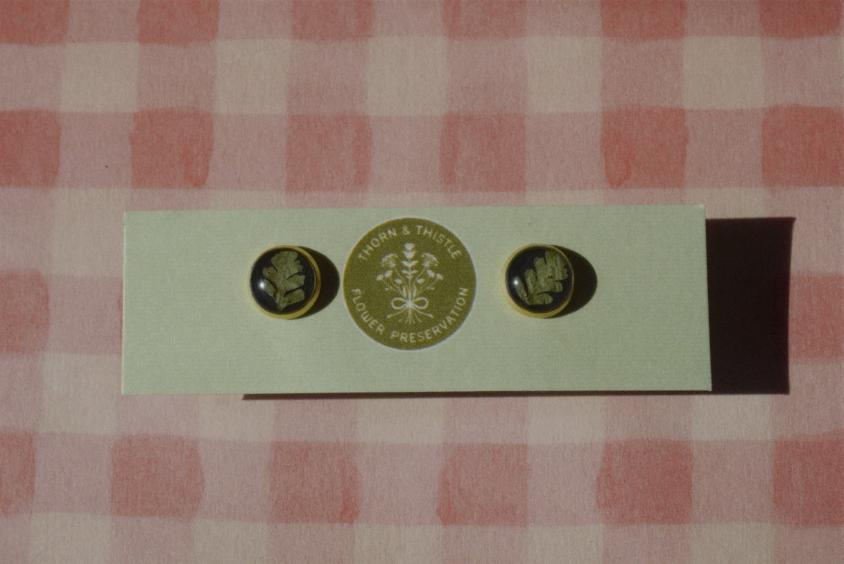 fern studs