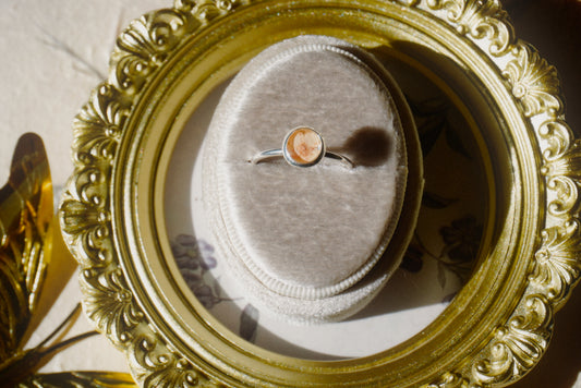 forget-me-not 6 - size 9