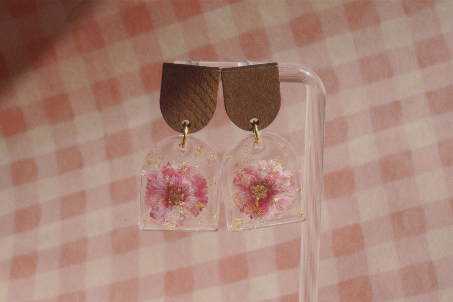 pink daisies