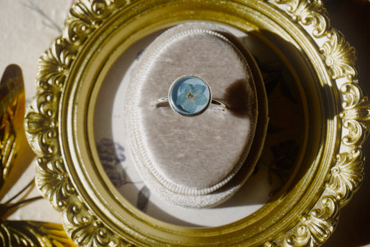 forget-me-not 1 - size 9