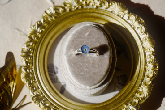 forget-me-not 3 - size 9