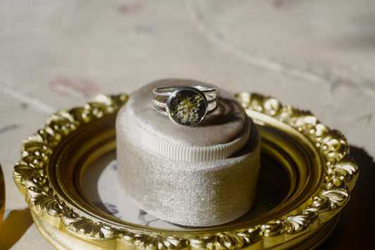 queen anne’s lace - size 7