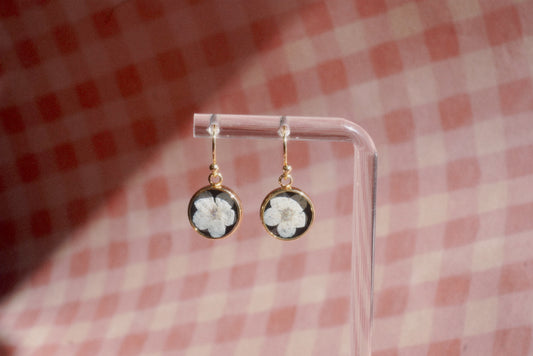 forget-me-not dangles