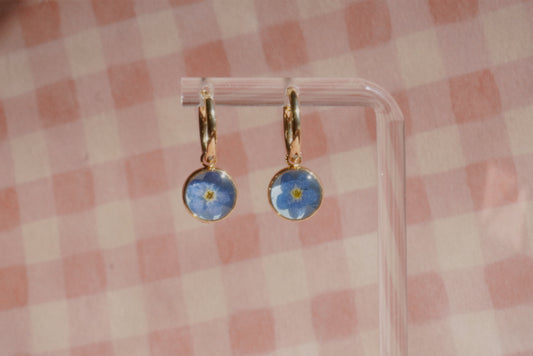 forget me not huggies 2