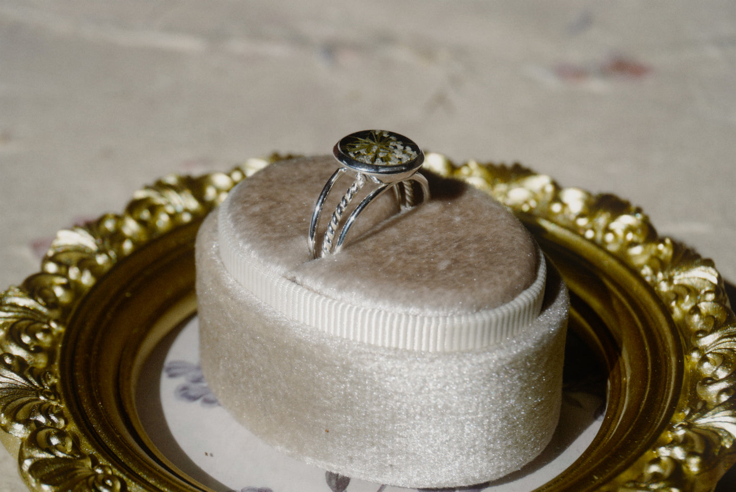 queen anne’s lace - size 7