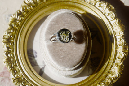 queen anne’s lace - size 7