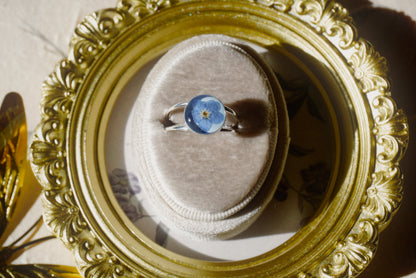 forget-me-not 2 - size 8