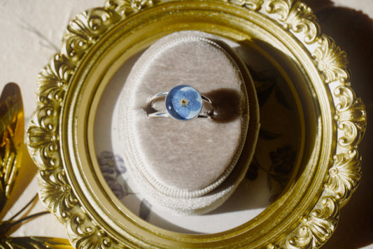 forget-me-not 2 - size 6