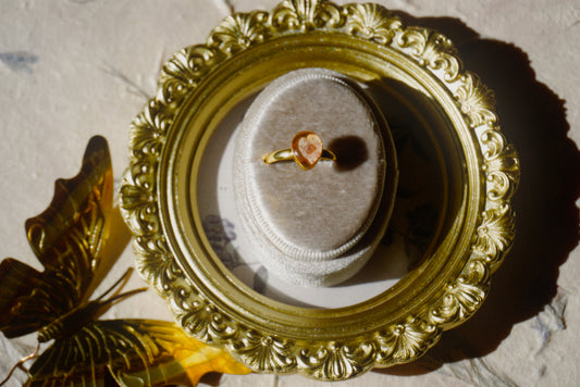 forget-me-not 8 - size 8